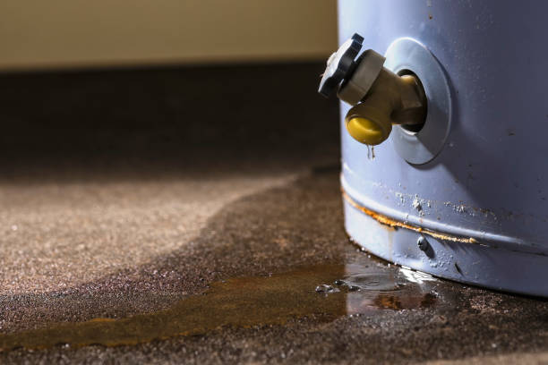 Best Basement water damage restoration  in Point Pleasant, WV