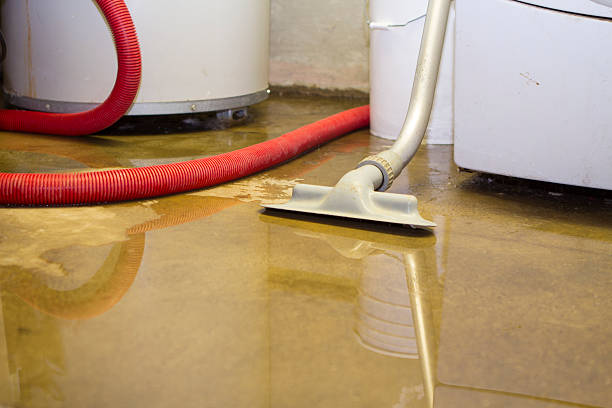 Best Carpet water damage restoration  in Point Pleasant, WV