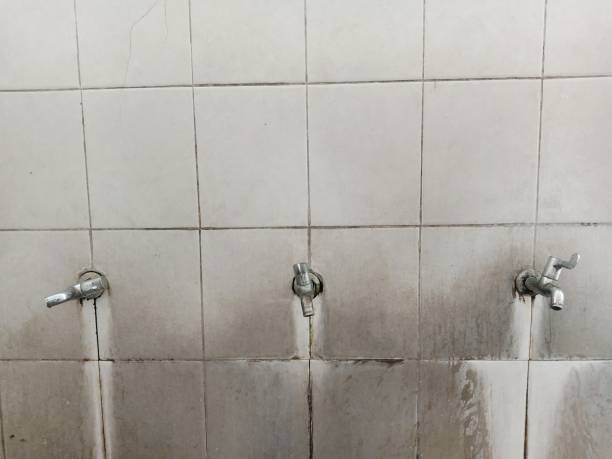 Best Professional water damage repair  in Point Pleasant, WV