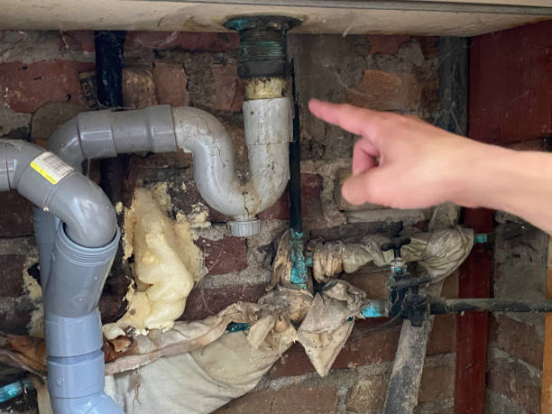 Best Ceiling water damage repair  in Point Pleasant, WV