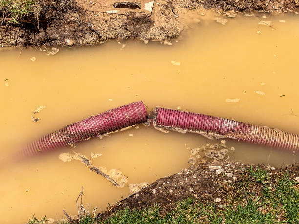 Best Local water damage restoration  in Point Pleasant, WV