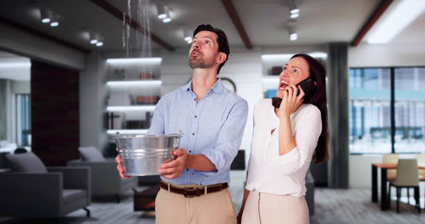 Best Basement water damage restoration  in Point Pleasant, WV