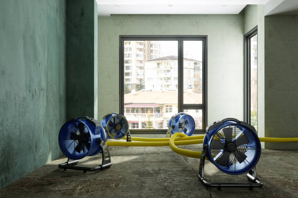Professional Water damage restoration in Point Pleasant, WV